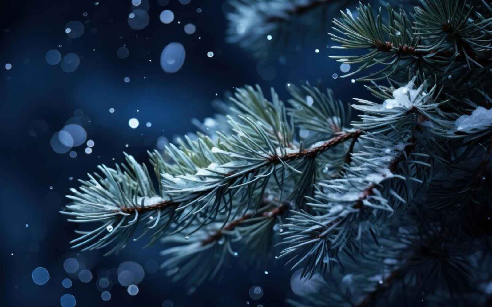 Weihnachtsbaum